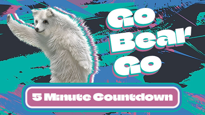 Go Bear Go